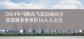 2024年马鞍山当涂县面向全省选调事业单位16人人公告