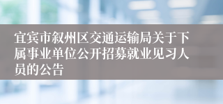 宜宾市叙州区交通运输局关于下属事业单位公开招募就业见习人员的公告