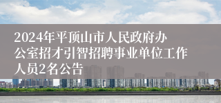 2024年平顶山市人民政府办公室招才引智招聘事业单位工作人员2名公告