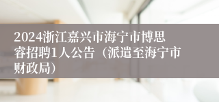 2024浙江嘉兴市海宁市博思睿招聘1人公告（派遣至海宁市财政局）