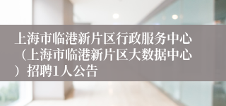 上海市临港新片区行政服务中心（上海市临港新片区大数据中心）招聘1人公告