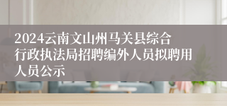 2024云南文山州马关县综合行政执法局招聘编外人员拟聘用人员公示