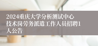 2024重庆大学分析测试中心技术岗劳务派遣工作人员招聘1人公告