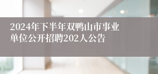 2024年下半年双鸭山市事业单位公开招聘202人公告