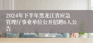 2024年下半年黑龙江省应急管理厅事业单位公开招聘6人公告