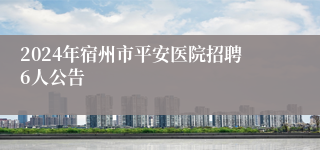 2024年宿州市平安医院招聘6人公告