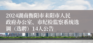 2024湖南衡阳市耒阳市人民政府办公室、市纪检监察系统选调（选聘）14人公告