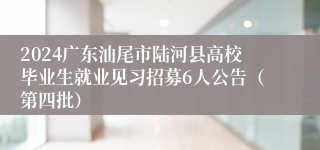 2024广东汕尾市陆河县高校毕业生就业见习招募6人公告（第四批）