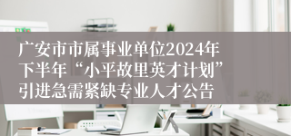 广安市市属事业单位2024年下半年“小平故里英才计划” 引进急需紧缺专业人才公告