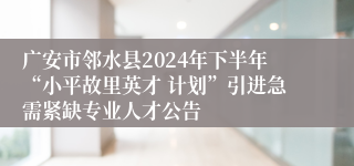 广安市邻水县2024年下半年“小平故里英才 计划”引进急需紧缺专业人才公告