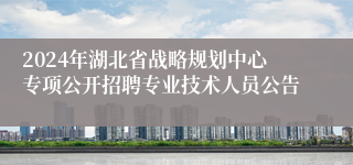 2024年湖北省战略规划中心专项公开招聘专业技术人员公告