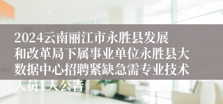 2024云南丽江市永胜县发展和改革局下属事业单位永胜县大数据中心招聘紧缺急需专业技术人员1人公告