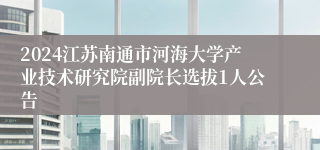 2024江苏南通市河海大学产业技术研究院副院长选拔1人公告