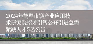 2024年鹤壁市镁产业应用技术研究院招才引智公开引进急需紧缺人才5名公告