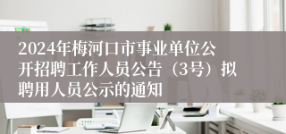 2024年梅河口市事业单位公开招聘工作人员公告（3号）拟聘用人员公示的通知