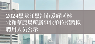 2024黑龙江黑河市爱辉区林业和草原局所属事业单位招聘拟聘用人员公示