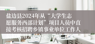 盐边县2024年从“大学生志愿服务西部计划”项目人员中直接考核招聘乡镇事业单位工作人员拟聘用人员公示（第二批）