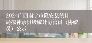 2024广西南宁市隆安县统计局拟补录县级统计协管员（协统员）公示