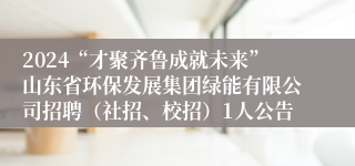 2024“才聚齐鲁成就未来”山东省环保发展集团绿能有限公司招聘（社招、校招）1人公告