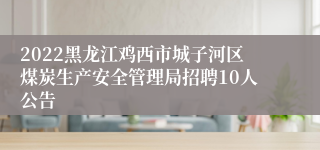 2022黑龙江鸡西市城子河区煤炭生产安全管理局招聘10人公告