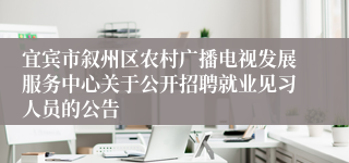 宜宾市叙州区农村广播电视发展服务中心关于公开招聘就业见习人员的公告