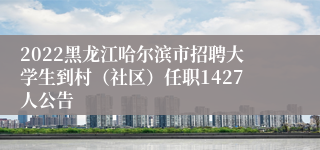 2022黑龙江哈尔滨市招聘大学生到村（社区）任职1427人公告