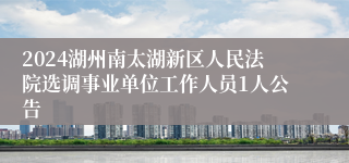 2024湖州南太湖新区人民法院选调事业单位工作人员1人公告