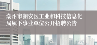 潮州市潮安区工业和科技信息化局属下事业单位公开招聘公告