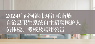 2024广西河池市环江毛南族自治县卫生系统自主招聘医护人员体检、考核及聘用公告