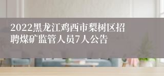 2022黑龙江鸡西市梨树区招聘煤矿监管人员7人公告