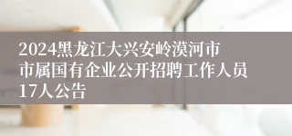 2024黑龙江大兴安岭漠河市市属国有企业公开招聘工作人员17人公告