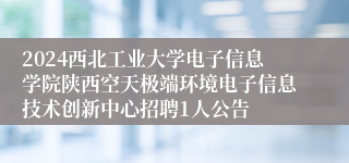 2024西北工业大学电子信息学院陕西空天极端环境电子信息技术创新中心招聘1人公告