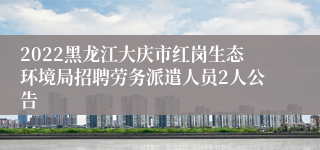 2022黑龙江大庆市红岗生态环境局招聘劳务派遣人员2人公告