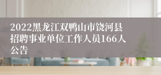 2022黑龙江双鸭山市饶河县招聘事业单位工作人员166人公告