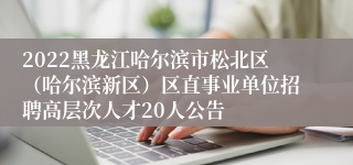 2022黑龙江哈尔滨市松北区（哈尔滨新区）区直事业单位招聘高层次人才20人公告