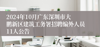 2024年10月广东深圳市大鹏新区建筑工务署招聘编外人员11人公告