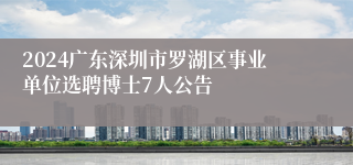 2024广东深圳市罗湖区事业单位选聘博士7人公告