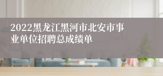 2022黑龙江黑河市北安市事业单位招聘总成绩单