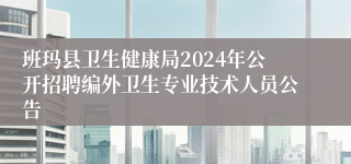 班玛县卫生健康局2024年公开招聘编外卫生专业技术人员公告