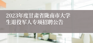 2023年度甘肃省陇南市大学生退役军人专项招聘公告