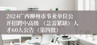 2024广西柳州市事业单位公开招聘中高级 （急需紧缺）人才60人公告（第四批） 