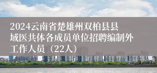 2024云南省楚雄州双柏县县域医共体各成员单位招聘编制外工作人员（22人）