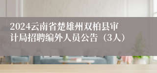 2024云南省楚雄州双柏县审计局招聘编外人员公告（3人）