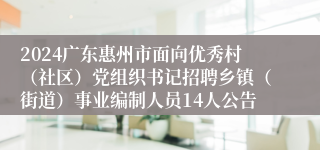 2024广东惠州市面向优秀村（社区）党组织书记招聘乡镇（街道）事业编制人员14人公告