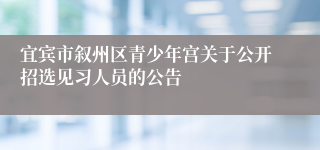 宜宾市叙州区青少年宫关于公开招选见习人员的公告