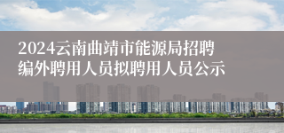 2024云南曲靖市能源局招聘编外聘用人员拟聘用人员公示