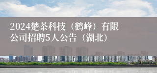 2024楚茶科技（鹤峰）有限公司招聘5人公告（湖北）