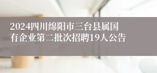 2024四川绵阳市三台县属国有企业第二批次招聘19人公告