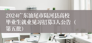 2024广东汕尾市陆河县高校毕业生就业见习招募3人公告（第五批）