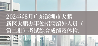 2024年8月广东深圳市大鹏新区大鹏办事处招聘编外人员（第二批）考试综合成绩及体检、资格复审、考察公告